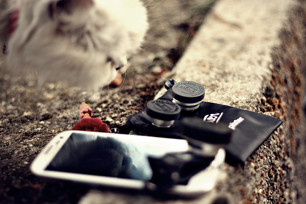 WEARE-PIXTER-BLOG-MODE-PHOTO